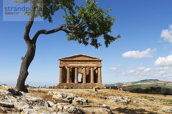 Europa  Baum  Mandel  Freundschaft  UNESCO-Welterbe  Italien  Sizilien