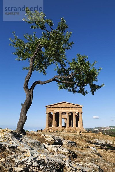 Europa  Baum  Mandel  Freundschaft  UNESCO-Welterbe  Italien  Sizilien