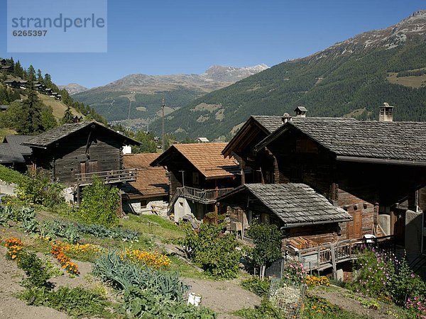 The Walser village of Grimentz  Valais  Swiss Alps  Switzerland  Europe