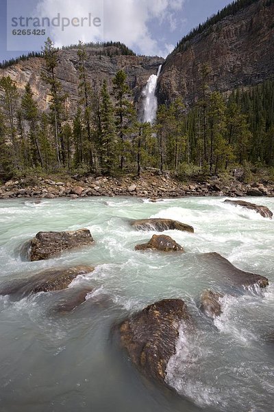 treten  Fluss  Nordamerika  Rocky Mountains  UNESCO-Welterbe  Takakkaw Falls  Yoho Nationalpark  British Columbia  Kanada