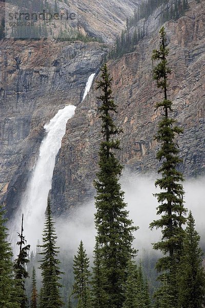 Nordamerika  Rocky Mountains  UNESCO-Welterbe  Takakkaw Falls  Yoho Nationalpark  British Columbia  Kanada