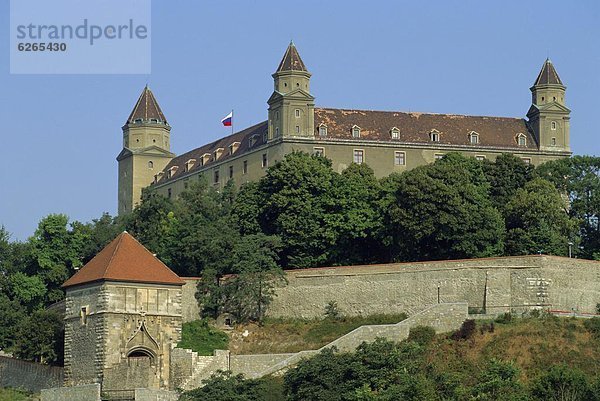 Burg  Bratislava  Slowakei  Europa
