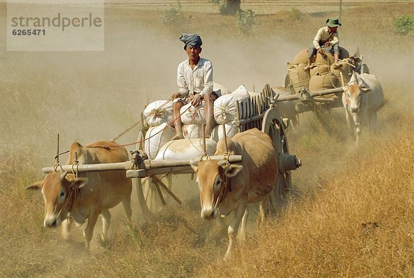 Myanmar  Asien