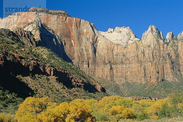 Vereinigte Staaten von Amerika  USA  Zion Nationalpark  Utah