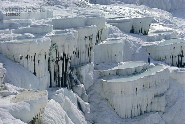 Eurasien Pamukkale Türkei