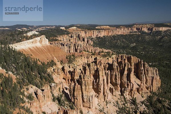 Vereinigte Staaten von Amerika  USA  Nordamerika  Bryce Canyon Nationalpark  Utah