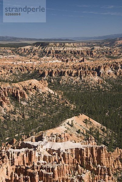 Vereinigte Staaten von Amerika  USA  Nordamerika  Bryce Canyon Nationalpark  Utah