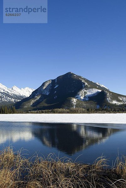 Berg  Felsen  Spiegelung  See  Nordamerika  UNESCO-Welterbe  Alberta  Banff