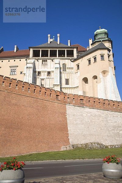 Europa  Krakau  Polen