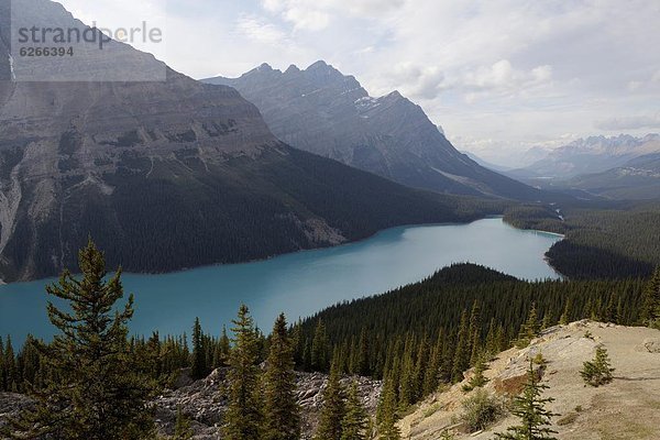 Farbaufnahme  Farbe  Schönheit  See  Nordamerika  Peyto Lake  Rocky Mountains  Banff Nationalpark  UNESCO-Welterbe  Alberta  Kanada