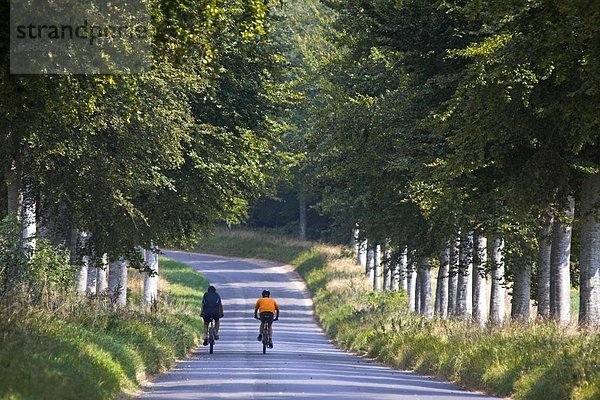 nahe  Europa  Großbritannien  Fahrradfahrer  Fernverkehrsstraße  Dorset  England  Moor
