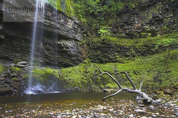 Europa  Großbritannien  Brecon Beacons National Park  Powys  Wales