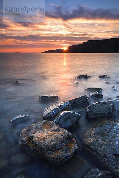 Europa  Großbritannien  über  Steilküste  UNESCO-Welterbe  Bucht  Dorset  England  Sonne