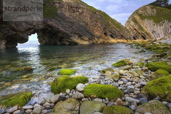 Stufe  nahe  Europa  Großbritannien  Loch  Gewölbe  UNESCO-Welterbe  Lulworth Cove  Dorset  England