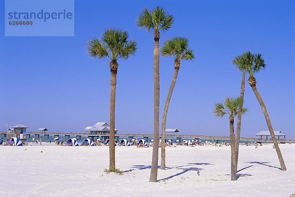 Vereinigte Staaten von Amerika  USA  Clearwater  Florida