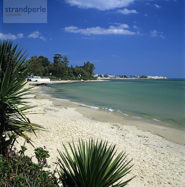 Nordafrika  Strand  Hotel  Ansicht  vorwärts  Afrika  Hammamet  Tunesien