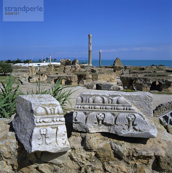 Nordafrika  Tunis  Hauptstadt  UNESCO-Welterbe  Afrika  Karthago  Tunesien