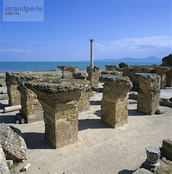 Nordafrika  Tunis  Hauptstadt  UNESCO-Welterbe  Afrika  Karthago  Tunesien