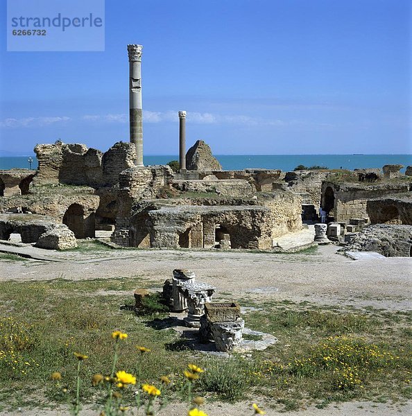 Nordafrika  Tunis  Hauptstadt  UNESCO-Welterbe  Afrika  Karthago  Tunesien