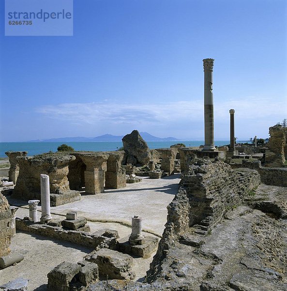 Nordafrika  Tunis  Hauptstadt  UNESCO-Welterbe  Afrika  Karthago  Tunesien