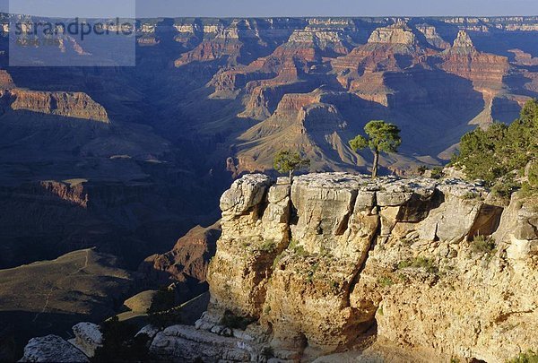 Vereinigte Staaten von Amerika  USA  Ehrfurcht  Arizona  Schlucht  South Rim