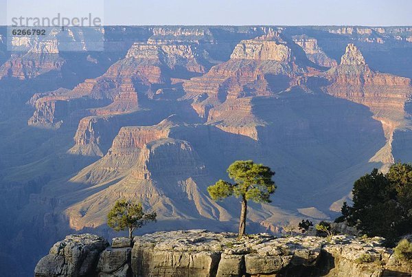 Vereinigte Staaten von Amerika  USA  Ehrfurcht  Arizona  Schlucht  South Rim