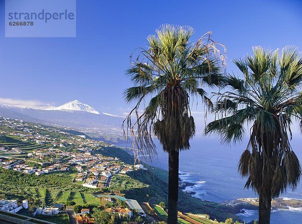 Kanaren  Kanarische Inseln  Spanien  Teneriffa