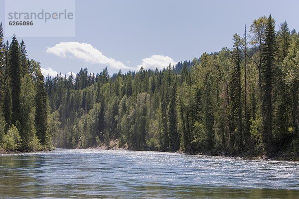 Fluss Nordamerika Ländliches Motiv ländliche Motive British Columbia Kanada Clearwater grau
