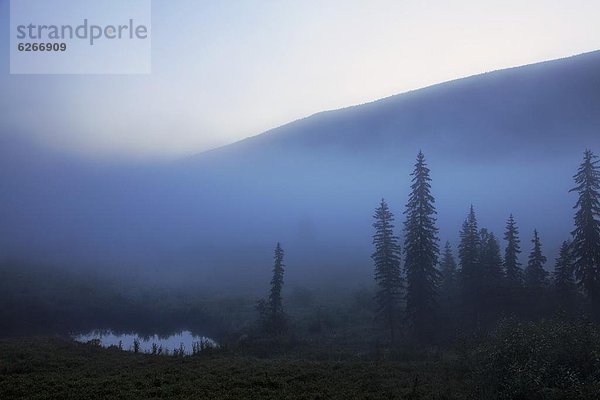 Morgen Dunst früh Nordamerika Ländliches Motiv ländliche Motive British Columbia Kanada grau