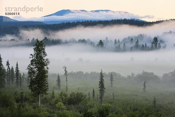 Morgen Dunst früh Nordamerika Ländliches Motiv ländliche Motive British Columbia Kanada grau