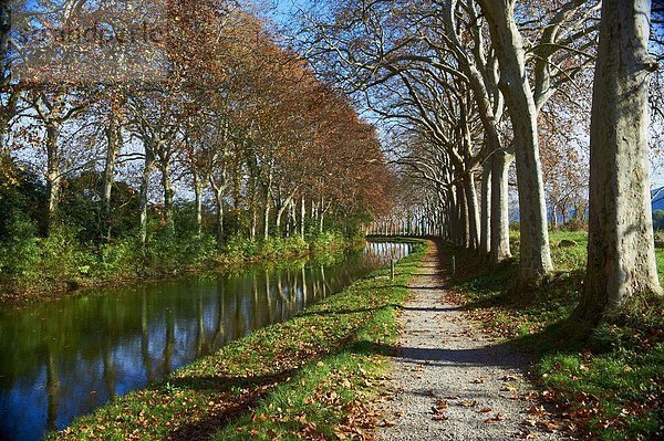 Frankreich Europa gelb Herbst vorwärts UNESCO-Welterbe Aude