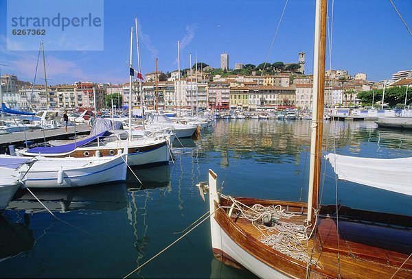 Frankreich  Provence - Alpes-Cote d Azur  Cote d Azur  Cannes