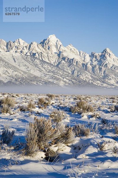 Vereinigte Staaten von Amerika  USA  Beleuchtung  Licht  Tal  Nordamerika  Schnee  Wyoming