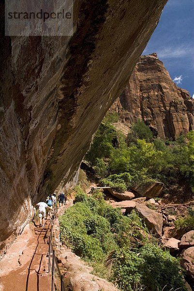 Vereinigte Staaten von Amerika  USA  Nordamerika  Zion Nationalpark  Utah