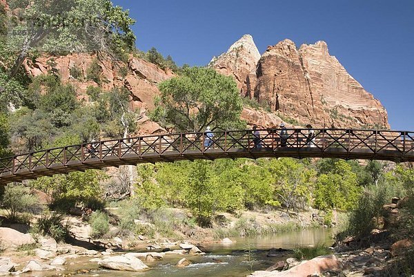 Vereinigte Staaten von Amerika  USA  Brücke  Nordamerika  Zion Nationalpark  Zugänglichkeit  Smaragd  Utah