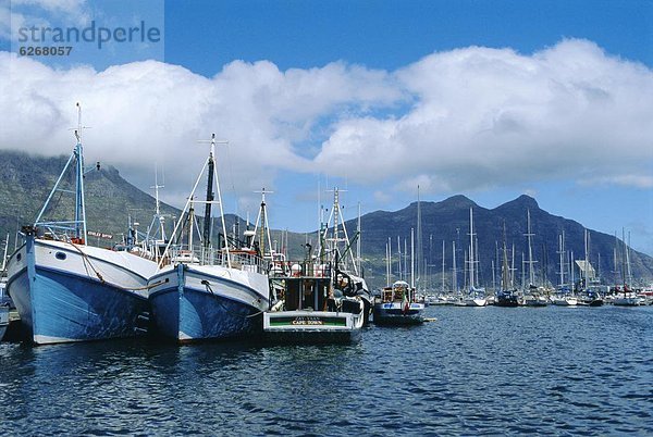 Fischereihafen  Fischerhafen  Südliches Afrika  Südafrika  Hout Bay