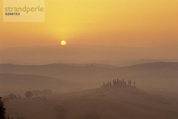 Sonnenuntergang  Baum  Landschaft  Hügel  Feld  Italien  Toskana