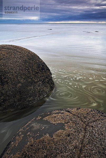 Felsbrocken  Küste  rund  bizarr  Pazifischer Ozean  Pazifik  Stiller Ozean  Großer Ozean  neuseeländische Südinsel  vorwärts  Moeraki  Neuseeland  Otago