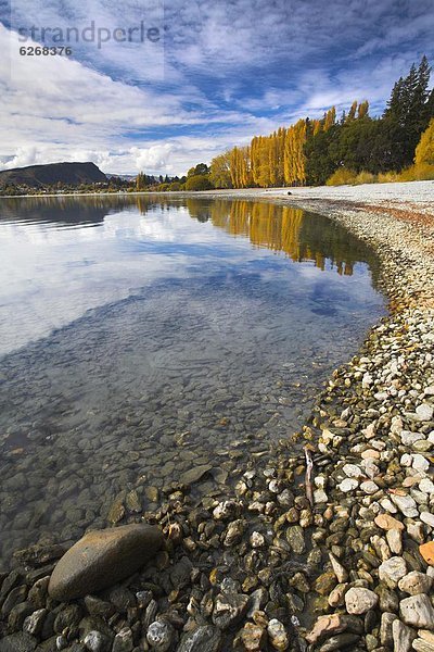 Farbaufnahme  Farbe  nebeneinander  neben  Seite an Seite  See  Herbst  Pazifischer Ozean  Pazifik  Stiller Ozean  Großer Ozean  neuseeländische Südinsel  Neuseeland  Otago  Wanaka