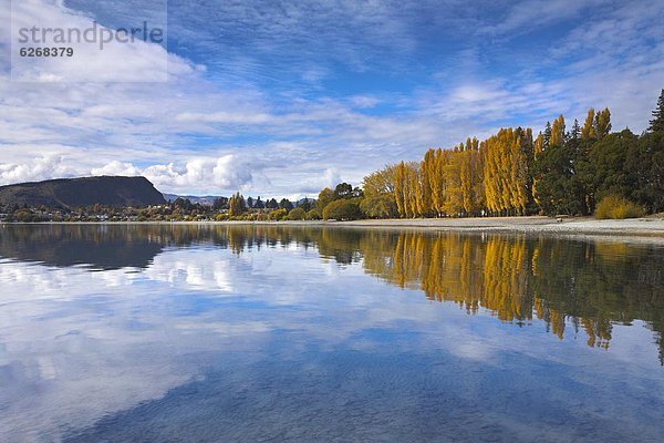 nebeneinander  neben  Seite an Seite  Farbe  Farben  See  Herbst  Pazifischer Ozean  Pazifik  Stiller Ozean  Großer Ozean  neuseeländische Südinsel  Neuseeland  Otago  Wanaka