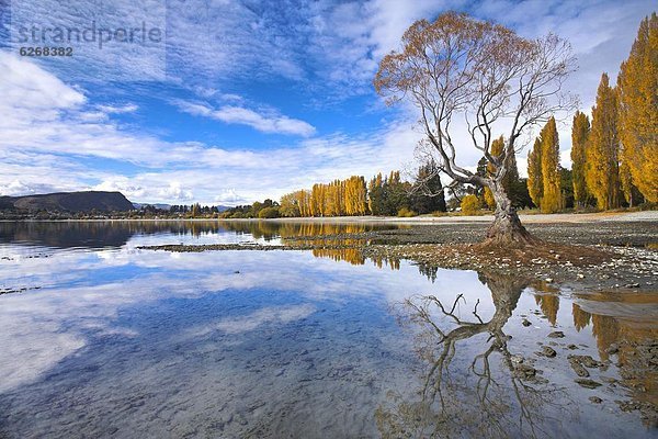 nebeneinander  neben  Seite an Seite  Farbe  Farben  See  Herbst  Pazifischer Ozean  Pazifik  Stiller Ozean  Großer Ozean  neuseeländische Südinsel  Neuseeland  Otago  Wanaka