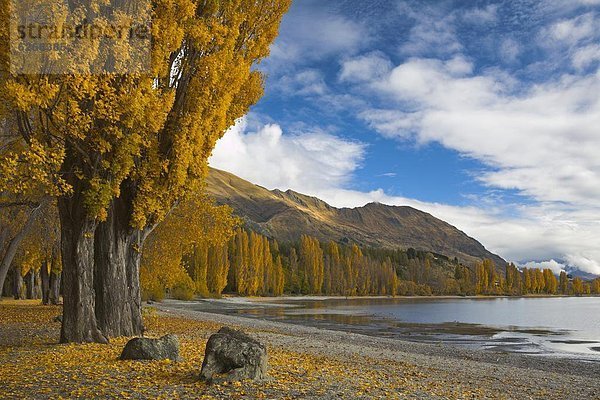 Farbaufnahme Farbe drehen Herbst Pazifischer Ozean Pazifik Stiller Ozean Großer Ozean neuseeländische Südinsel Seeufer Neuseeland Otago