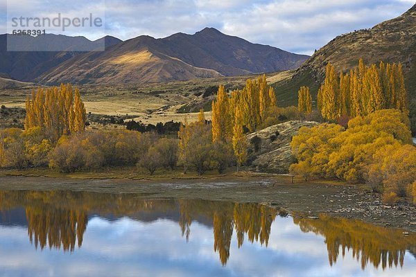 nebeneinander  neben  Seite an Seite  Farbe  Farben  See  Herbst  Pazifischer Ozean  Pazifik  Stiller Ozean  Großer Ozean  neuseeländische Südinsel  Neuseeland  Otago  Wanaka