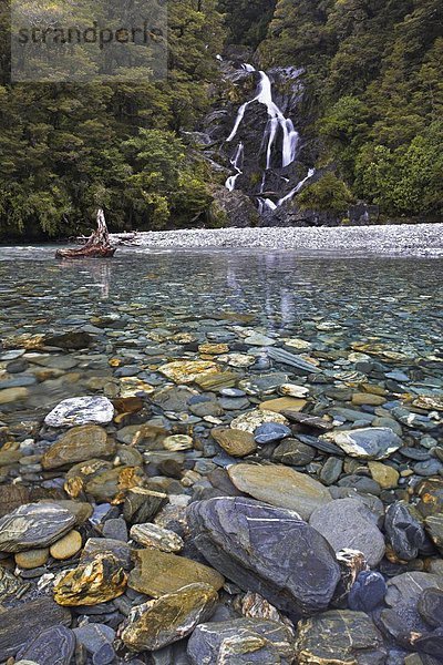 durchsichtig  transparent  transparente  transparentes  Fluss  Pazifischer Ozean  Pazifik  Stiller Ozean  Großer Ozean  neuseeländische Südinsel  Kristall  Neuseeland  Westküste