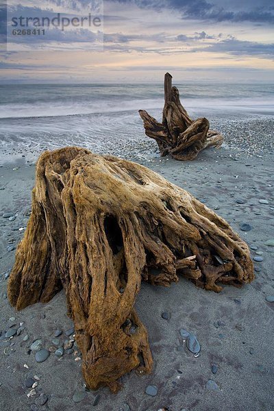 Strand Pazifischer Ozean Pazifik Stiller Ozean Großer Ozean neuseeländische Südinsel vorwärts Treibholz Neuseeland Westküste