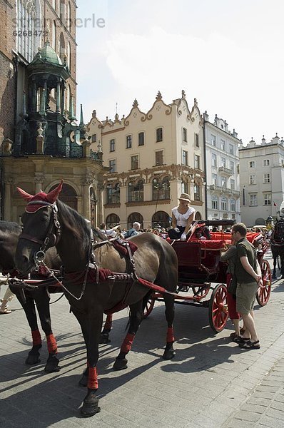 Pferd und Wagen im Marktplatz (Rynek Glowny)  Old Town District (Stare Miasto)  Krakow (Krakau)  UNESCO Weltkulturerbe  Polen  Europa