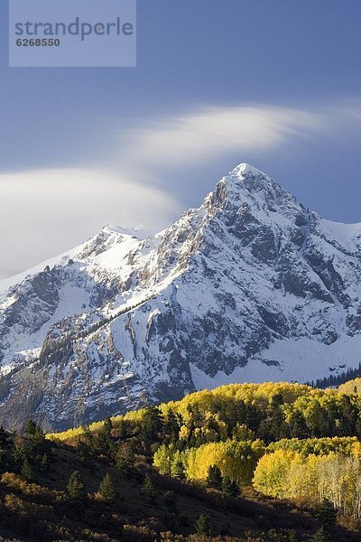 Vereinigte Staaten von Amerika  USA  Farbaufnahme  Farbe  Berg  Nordamerika  bedecken  Colorado  Schnee