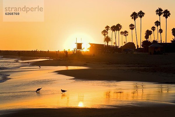 Vereinigte Staaten von Amerika  USA  Strand  Sonnenuntergang  Nordamerika  Kalifornien  Sonnenkorona  Korona  Newport Beach  Orange County