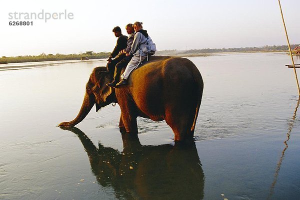 tragen  Tourist  Fluss  Elefant  Nepal