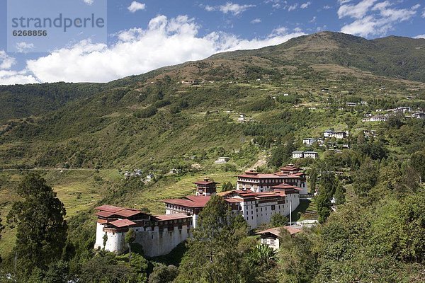 zwischen  inmitten  mitten  nahe  bedecken  Baum  Hügel  Stadt  Asien  Bhutan  Dzong